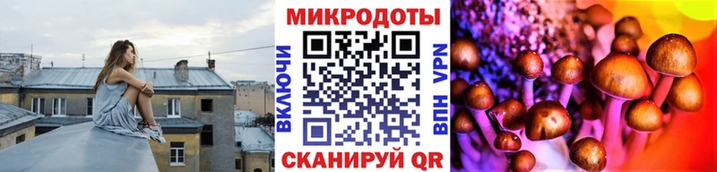 Псилоцибиновые грибы Cubensis  Ульяновск 