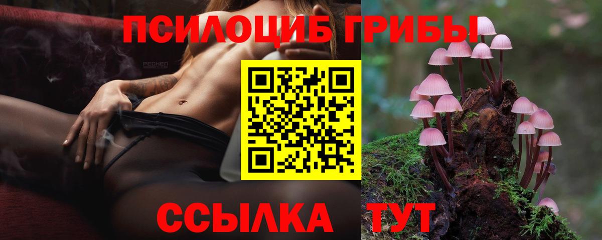Псилоцибиновые грибы прущие грибы  хочу наркоту  Ульяновск  Вход с VPN  Галлюциногенные грибы GOLDEN TEACHER 